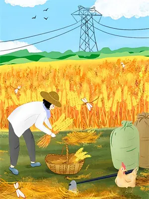 火影天幕播放假未来小说