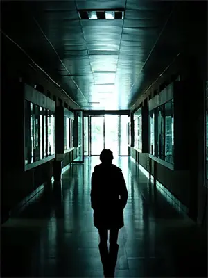 全民公敌:我的灵娘是三体核武小说